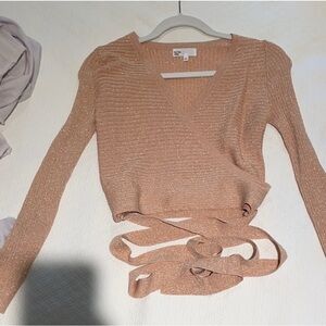 Shimmering Wrap Top in Tan